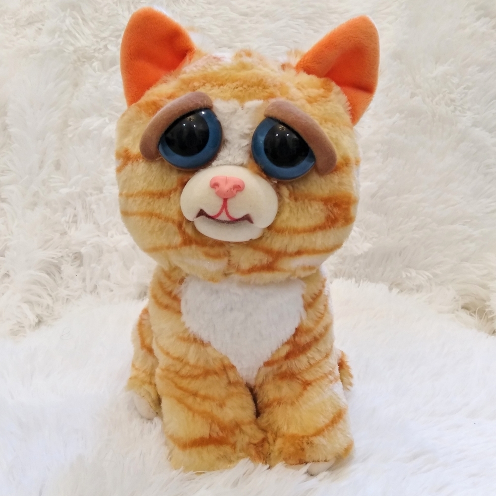 Feisty Pets Orange Cat